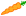 carrot