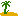 palm